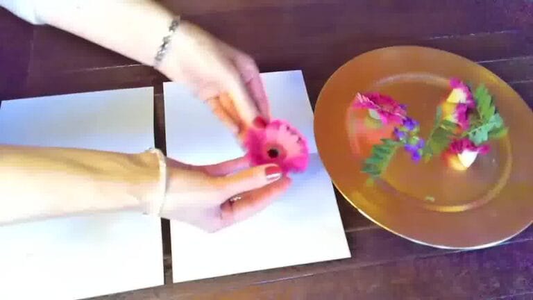 Hands placing flowers carefully between two sheets of absorbent paper to protect them during pressing